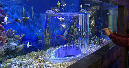 Wuxi Ocean Underworld -akvaariohanke.