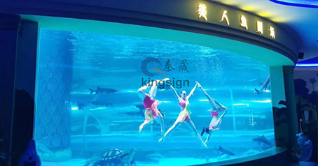 Ocean -akvaario -projekti.