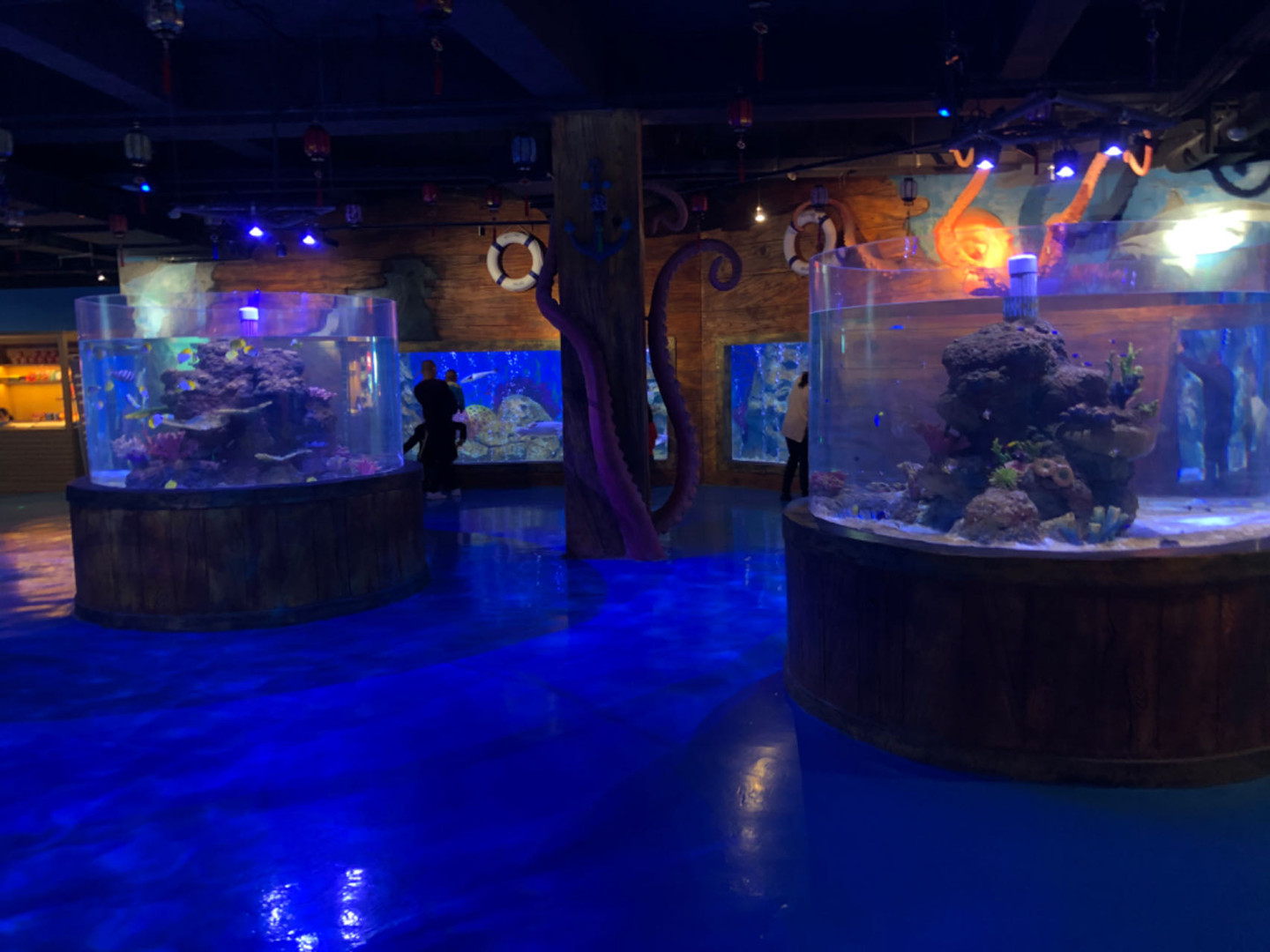 Akryylikala -säiliön elämän tukijärjestelmän käyttöönotto