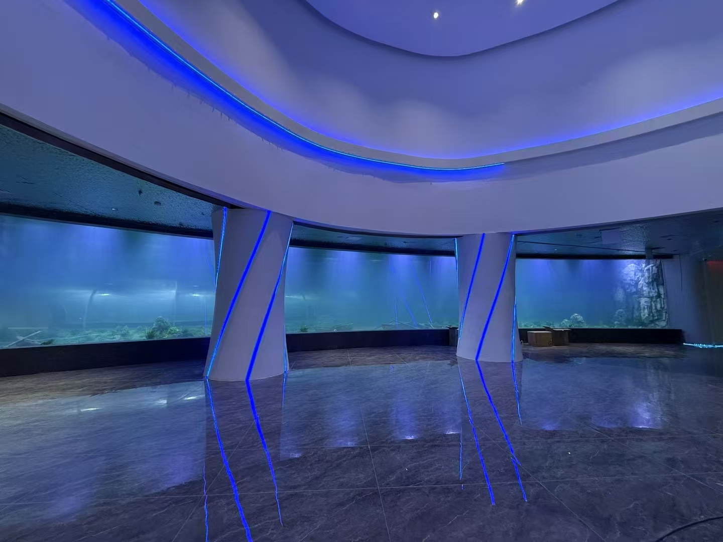 Mitkä ovat akryylilevyn edut suurissa akvaario -ikkunoissa?